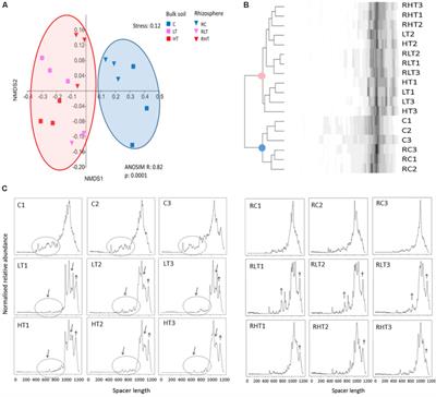 The Sycamore Maple Bacterial Culture Collection From a TNT Polluted Site Shows Novel Plant-Growth Promoting and Explosives Degrading Bacteria